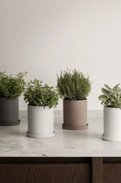 Blomus - Herb Pot - Pewter - NONA