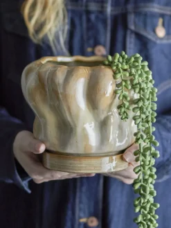 Bloomingville - Hollis Urtepotte m/underskål, Natur, Stentøj