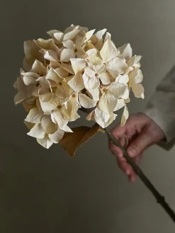 Bloomingville - Hydrangea Kunstig stilk - Hvid