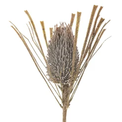 Bloomingville - Palmflower Kunstig stilk - Brun, Plastik