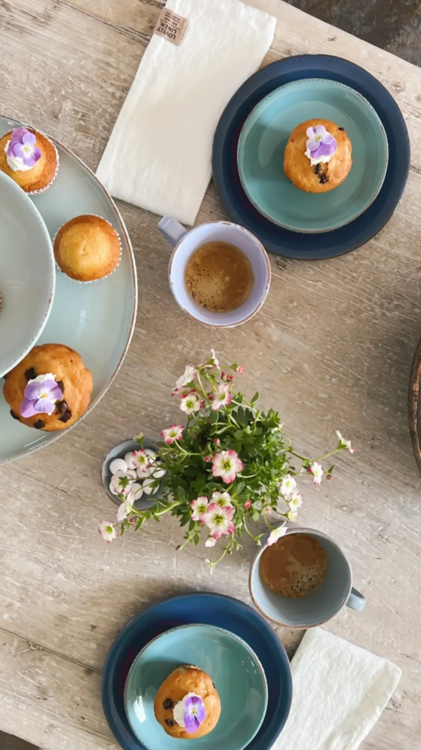 CASAgent - Multiskål - Rosa - Ø 21 / H 9 cm