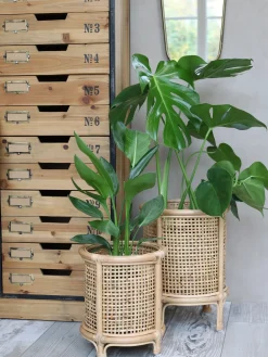 Chic Antique - Urtepotteskjuler - 31 cm