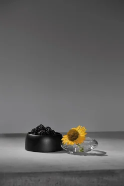 ChiCura - Boletus - Sort - 12 cm