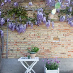 Cinas - Bakkebord 60x40cm hvid