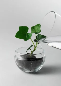 Design House Stockholm - Grow Greenhouse - Small