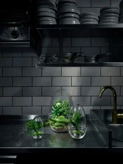 Design House Stockholm - Grow Greenhouse - X-Large - Ø: 20 cm, H: 32 cm