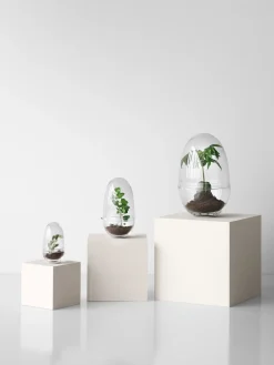 Design House Stockholm - Grow Greenhouse - X-Large - Ø: 20 cm, H: 32 cm