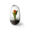 Design House Stockholm - Grow Greenhouse - Medium