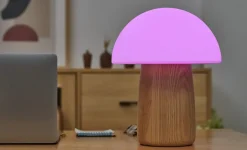 Gingko - Alice Mushroom Lamp - Large - White Ash Wood