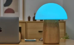 Gingko - Alice Mushroom Lamp - Large - White Ash Wood