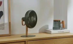 Gingko - Beyond Detachable Desk Fan/ Light Smart Green