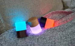 Gingko - Large Lemelia Light White Ash