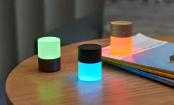 Gingko - Lemelia Light - Walnut - Mini