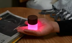 Gingko - Lemelia Light - Walnut - Mini