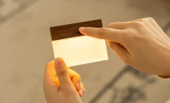 Gingko - Natlampe - CuraCheese - Valnød