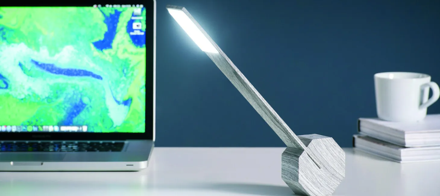 Gingko - Octagon One - Ash