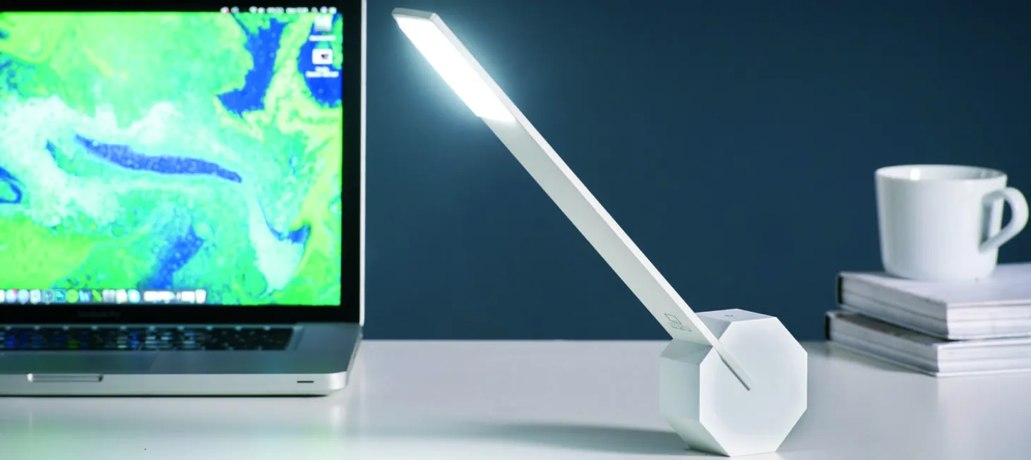 Gingko - Octagon One White