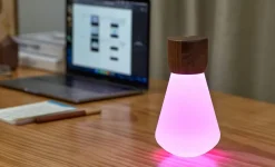 Gingko - Pentagon Light bulb Lamp Large Natural Walnut Wood