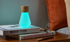 Gingko - Pentagon Light bulb Lamp Mini White Ash Wood