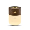Gingko - Smart Diffuser Lamp Walnut