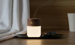 Gingko - Smart Diffuser Lamp Walnut