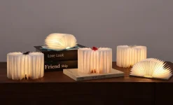 Gingko - Super Mini Smart Book Light - Palm Edition - Ahorn