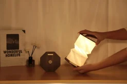 Gingko - Twist Hexagon Lamp - Black