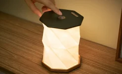 Gingko - Twist Hexagon Lamp - Black