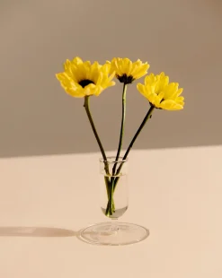 Hay - Vase - Tiny - Clear - Højde 8,6