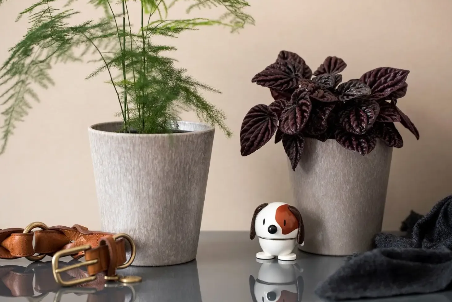 Hoptimist - Animals - Dog, hvid