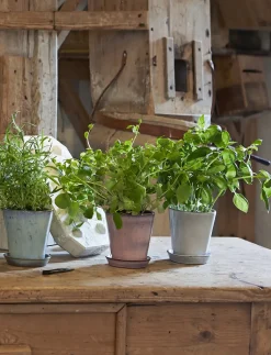 Knabstrup Keramik - urtepotteskjuler Ø 10.5 cm white