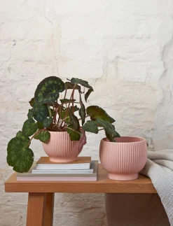 Knabstrup Keramik - urtepotteskjuler Ø 18 cm ripple rose