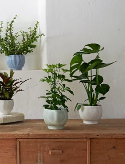 Knabstrup Keramik - urtepotteskjuler Ø 18 cm ripple mint