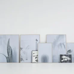 Kristina Dam - Ball Cactus I - poster 50x70 cm