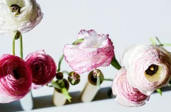 Kunstindustrien - Slim Vase - Messing - Højde 17 cm