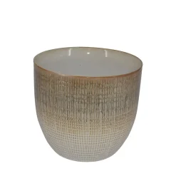 La Vida - Mia potte, stor