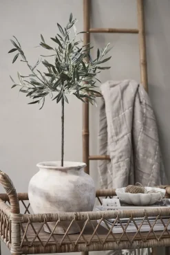 Lene Bjerre - Oliventræ Flora - 73 cm.