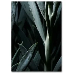 Martin Moore plakat - Plants plakat Blue Succulent 1 A3