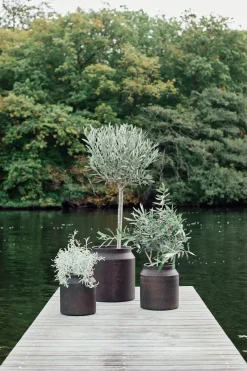 Muubs - Krukke Sai 23 - Rust - Metal