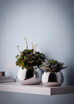 Philippi - Bella vase S