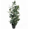 Present time - Artificial plant Eucalyptus Leaf large