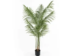 Present time - Artificial plant Kwai Tree