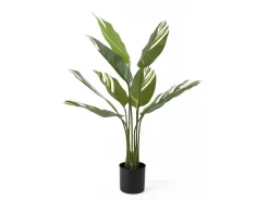 Present time - Artificial plant Calathea green w. white