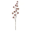 Present time - Artificial flower Poppy Berry brown