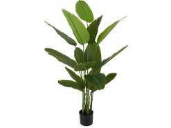 Present time - Artificial plant Canna green