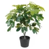 Present time - Artificial plant Shefflera green