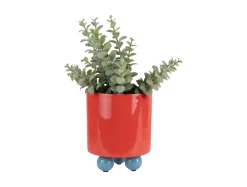Present time - Plant pot Double Funky small bright red w. air blue