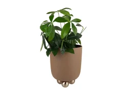Present time - Plant pot Estilo large mocha brown