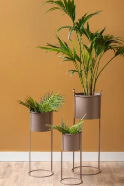 Present time - Plant pot set Essence round iron moss green