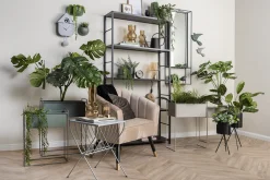 Present time - Plant pot set Essence straight iron black